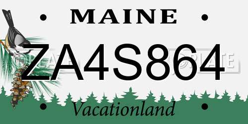 ZA4S864 Maine License Plate