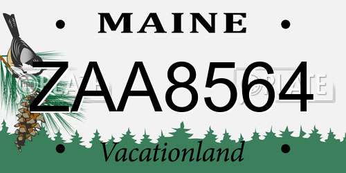 ZAA8564 Maine License Plate