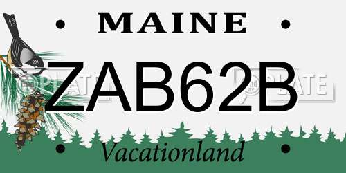 ZAB62B Maine License Plate