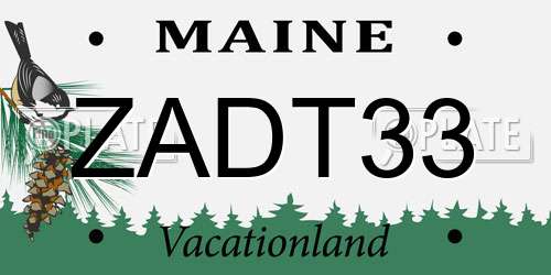 ZADT33 Maine License Plate