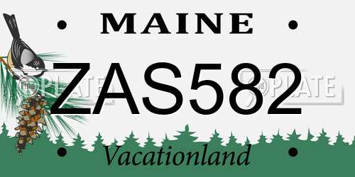 ZAS582 Maine License Plate