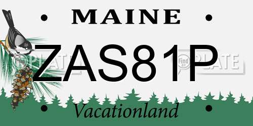 ZAS81P Maine License Plate