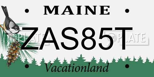 ZAS85T Maine License Plate