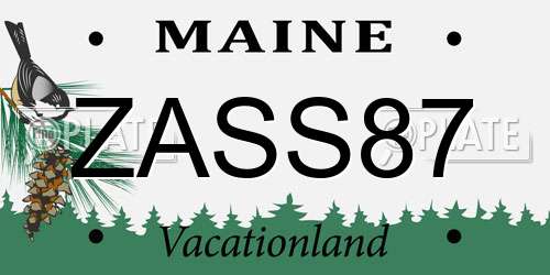 ZASS87 Maine License Plate