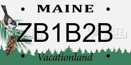 ZB1B2B Maine License Plate
