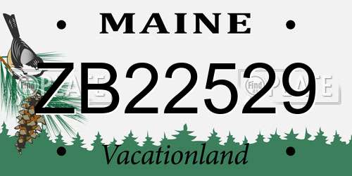 ZB22529 Maine License Plate