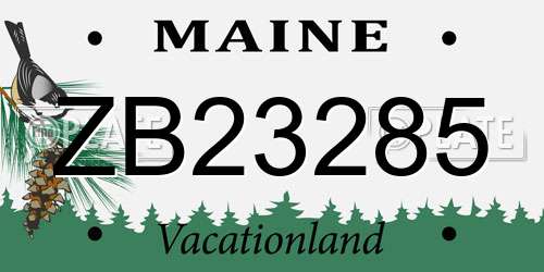 ZB23285 Maine License Plate