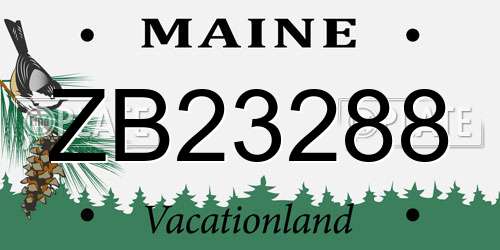 ZB23288 Maine License Plate