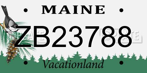 ZB23788 Maine License Plate
