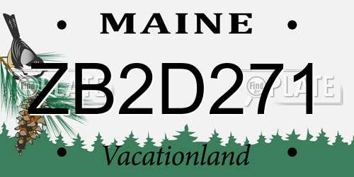 ZB2D271 Maine License Plate