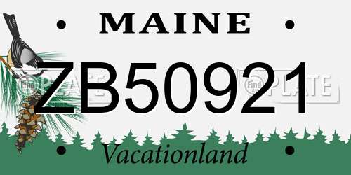 ZB50921 Maine License Plate