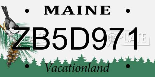 ZB5D971 Maine License Plate