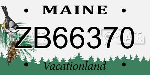 ZB66370 Maine License Plate