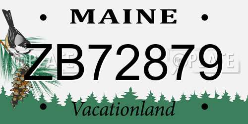 ZB72879 Maine License Plate