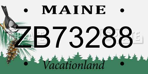 ZB73288 Maine License Plate