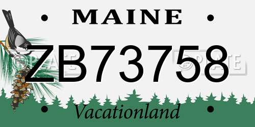 ZB73758 Maine License Plate