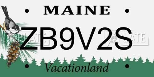 ZB9V2S Maine License Plate