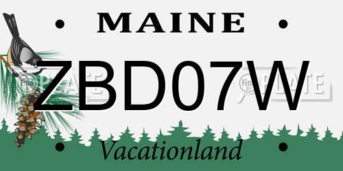 ZBD07W Maine License Plate
