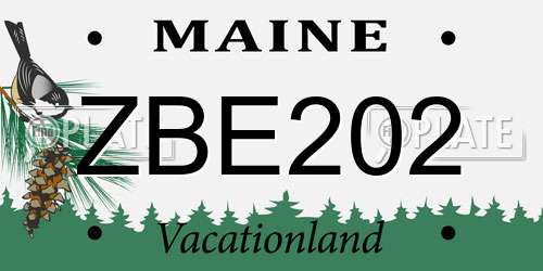 ZBE202 Maine License Plate