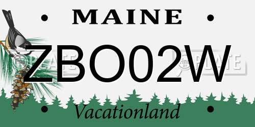 ZBO02W Maine License Plate