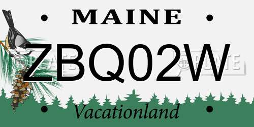 ZBQ02W Maine License Plate