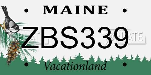 ZBS339 Maine License Plate