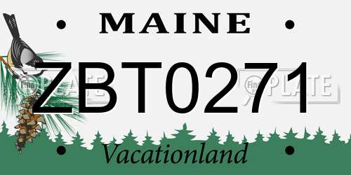 ZBT0271 Maine License Plate