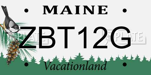ZBT12G Maine License Plate