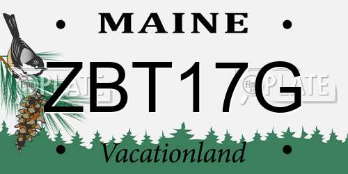 ZBT17G Maine License Plate