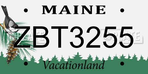 ZBT3255 Maine License Plate
