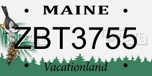 ZBT3755 Maine License Plate