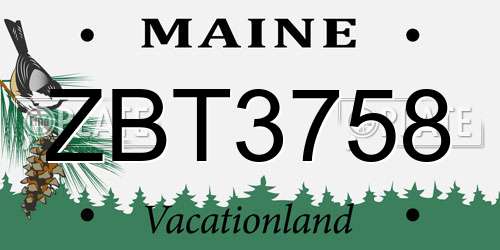 ZBT3758 Maine License Plate