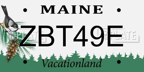 ZBT49E Maine License Plate