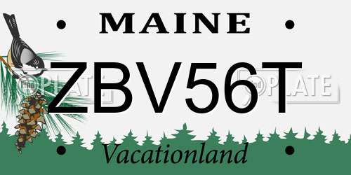 ZBV56T Maine License Plate