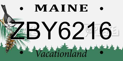 ZBY6216 Maine License Plate