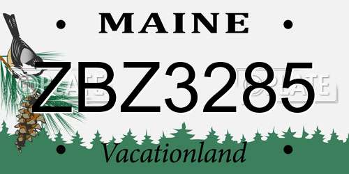 ZBZ3285 Maine License Plate