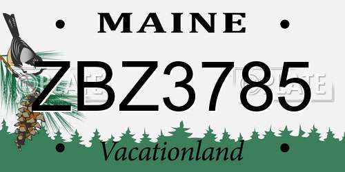 ZBZ3785 Maine License Plate