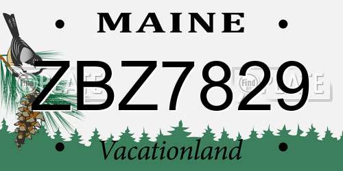 ZBZ7829 Maine License Plate