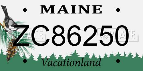 ZC86250 Maine License Plate
