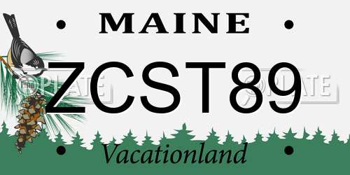 ZCST89 Maine License Plate