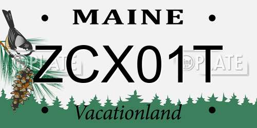 ZCX01T Maine License Plate