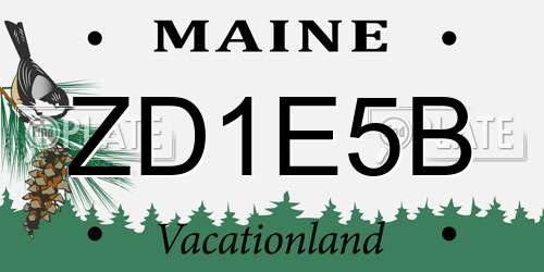 ZD1E5B Maine License Plate