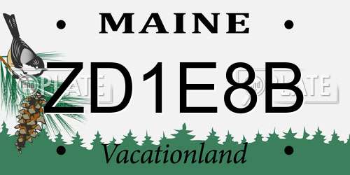 ZD1E8B Maine License Plate