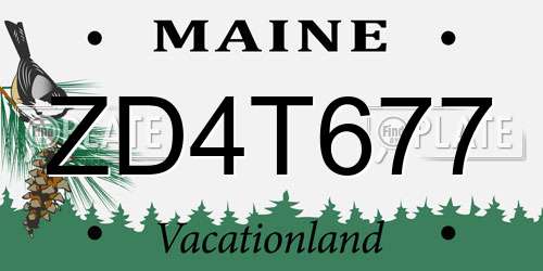 ZD4T677 Maine License Plate
