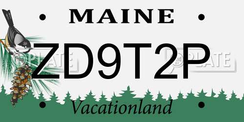ZD9T2P Maine License Plate