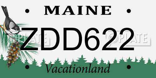 ZDD622 Maine License Plate