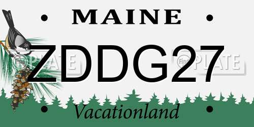 ZDDG27 Maine License Plate