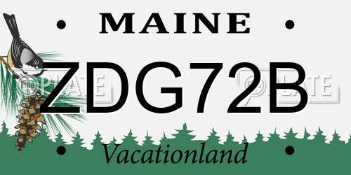 ZDG72B Maine License Plate