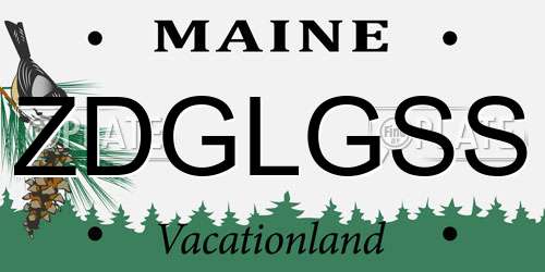 ZDGLGSS Maine License Plate