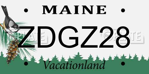 ZDGZ28 Maine License Plate